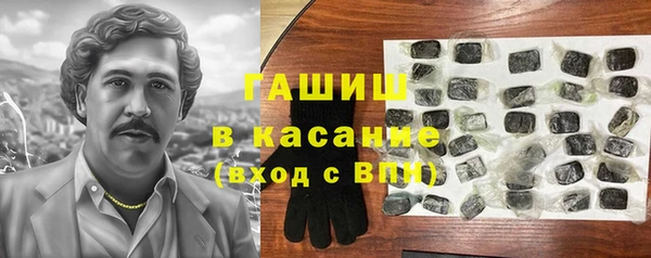 индика Володарск