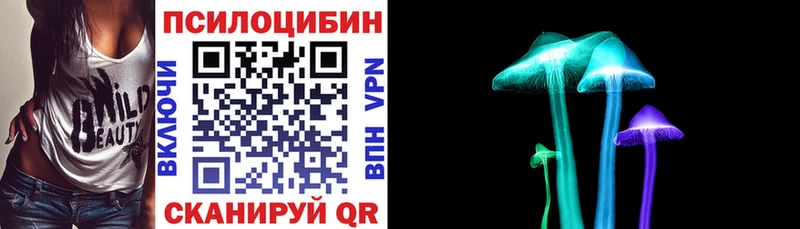 мега ТОР  Комсомольск-на-Амуре  Галлюциногенные грибы Psilocybine cubensis 