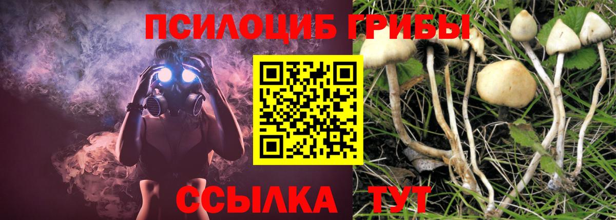 Галлюциногенные грибы Psilocybe  Вход с VPN  Галлюциногенные грибы Psilocybe  Комсомольск-на-Амуре 
