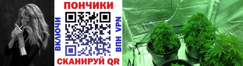 Каннабис индика  гидра как зайти  Комсомольск-на-Амуре 